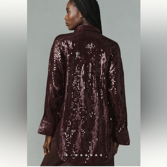Anthropologie Pilcro Sequin Buttondown Shirt NWOT XS - Picture 4 of 8